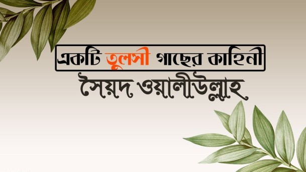 একটি তুলসী গাছের কাহিনি