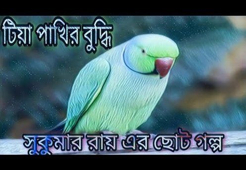 টিয়াপাখির বুদ্ধি