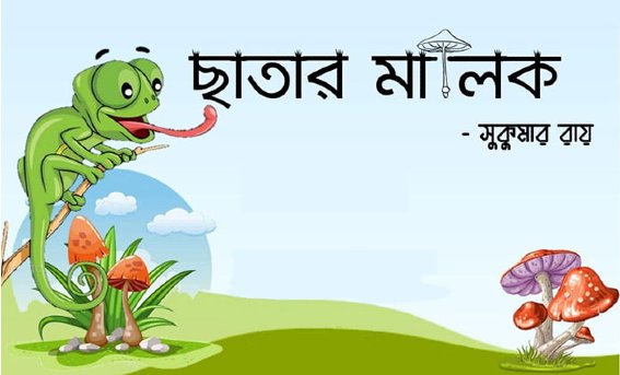ছাতার মালিক