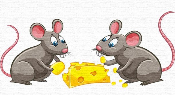 মেঠো ইঁদুর ও শহুরে ইঁদুর