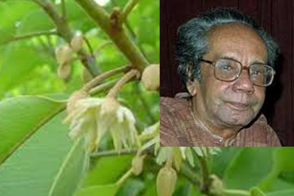 বকুল গাছের লোকটা – সৈয়দ মুস্তাফা সিরাজ