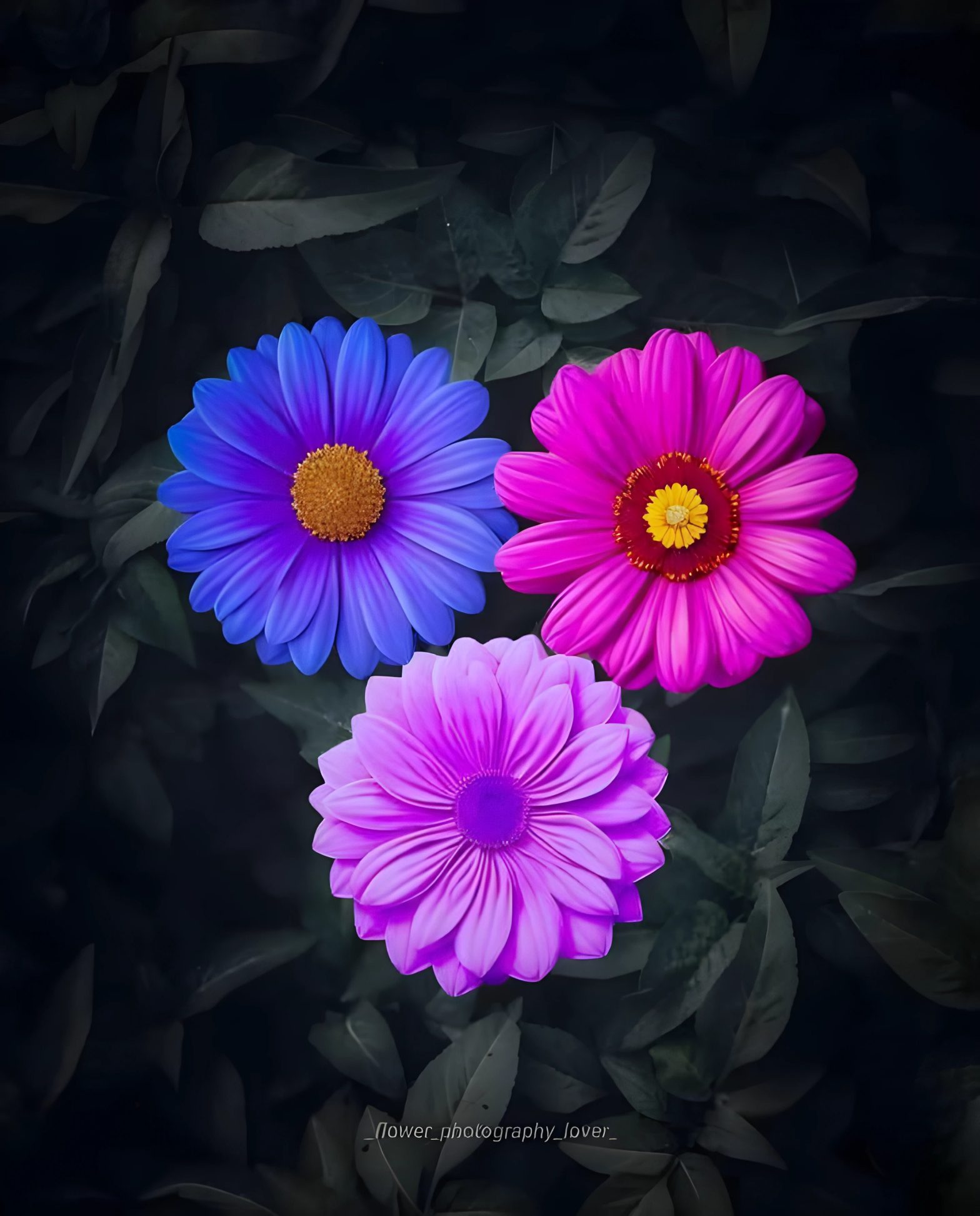 রক্তনদী- মনিকা শকুন্তলা