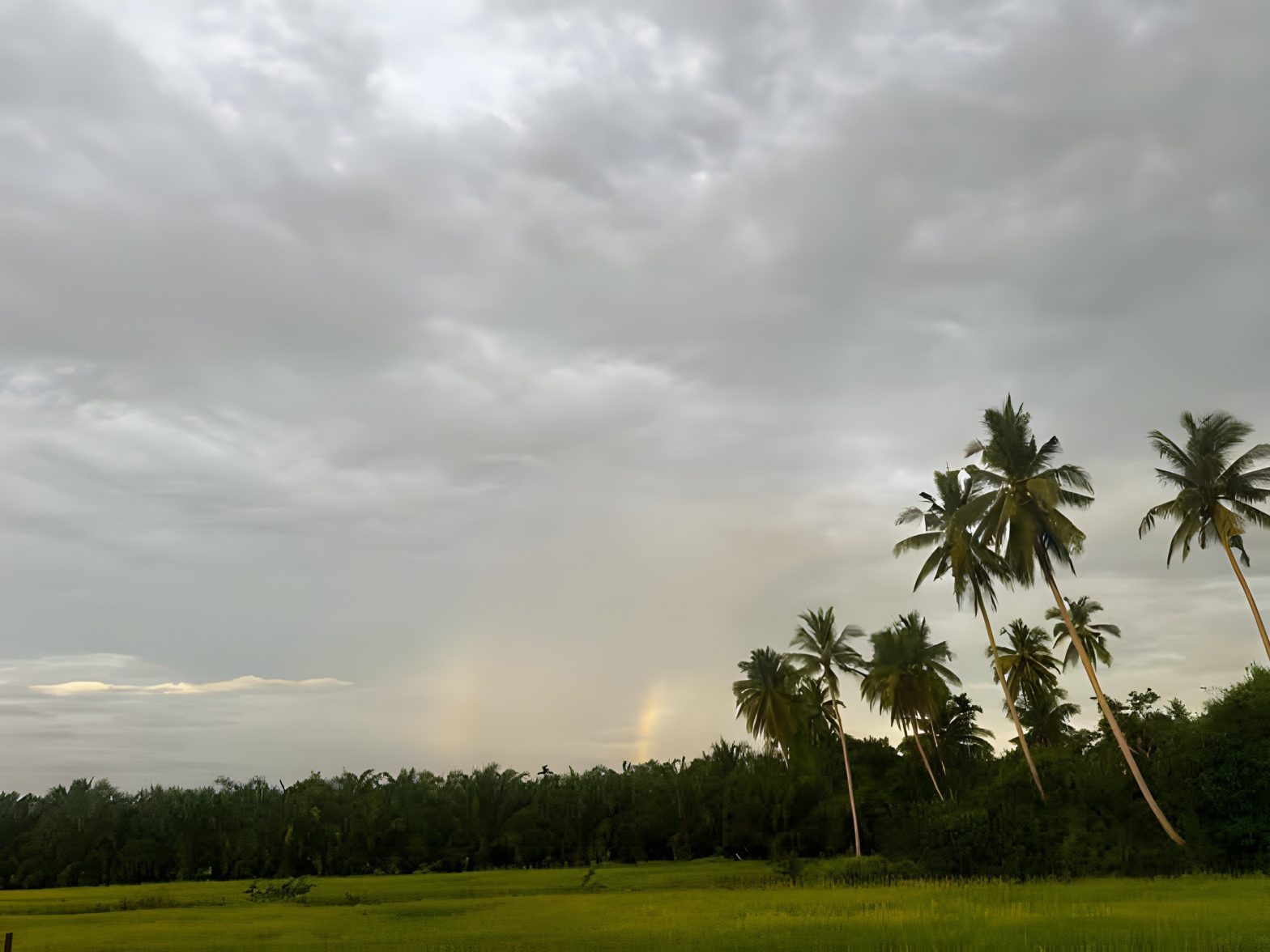 চিঠি#পত্র -(মনিকা শকুন্তলা)